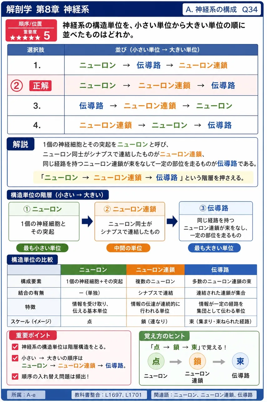 神経系の構造単位を、小さい単位から大きい単位の順に並べたものはどれか。 解説図
