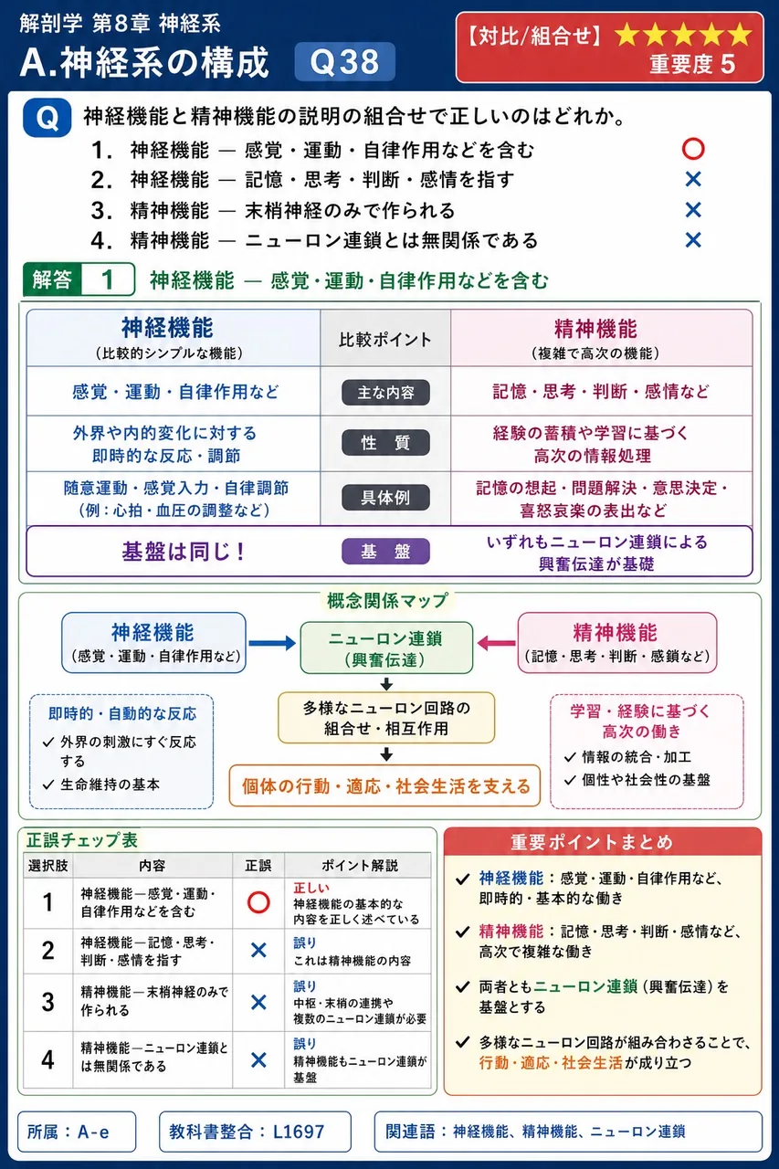 神経機能と精神機能の説明の組合せで正しいのはどれか。 解説図