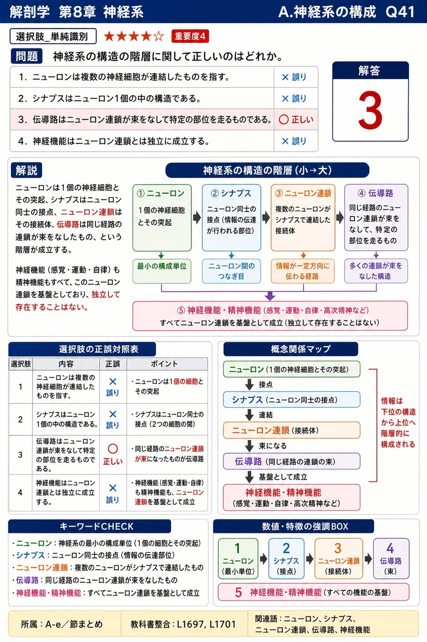 神経系の構造の階層に関して正しいのはどれか。 解説図