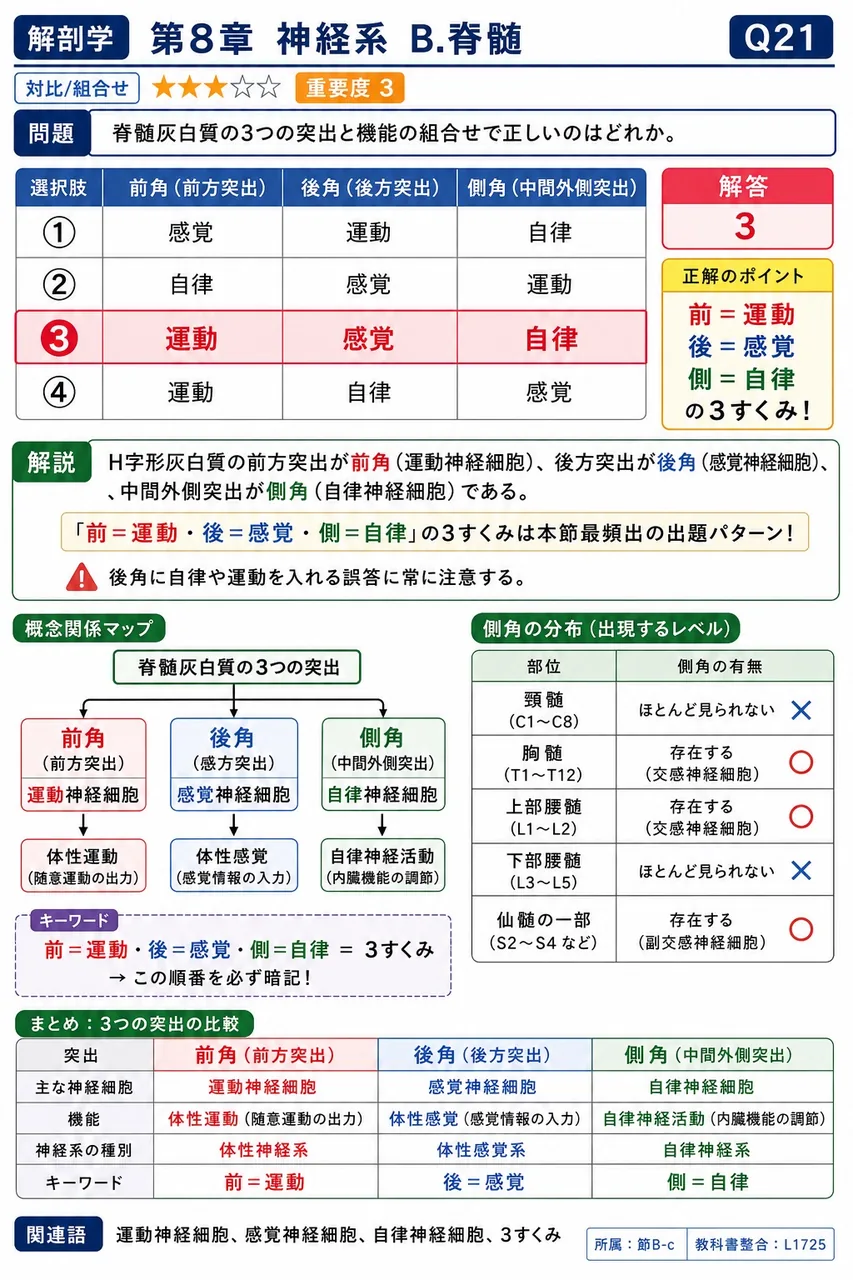 脊髄灰白質の3つの突出と機能の組合せで正しいのはどれか。 解説図