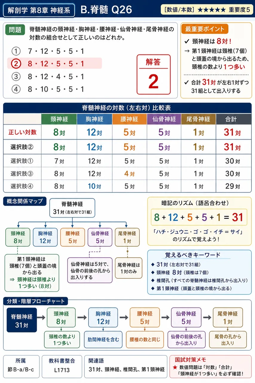脊髄神経の頸神経・胸神経・腰神経・仙骨神経・尾骨神経の対数の組合せとして正しいのはどれか。 解説図