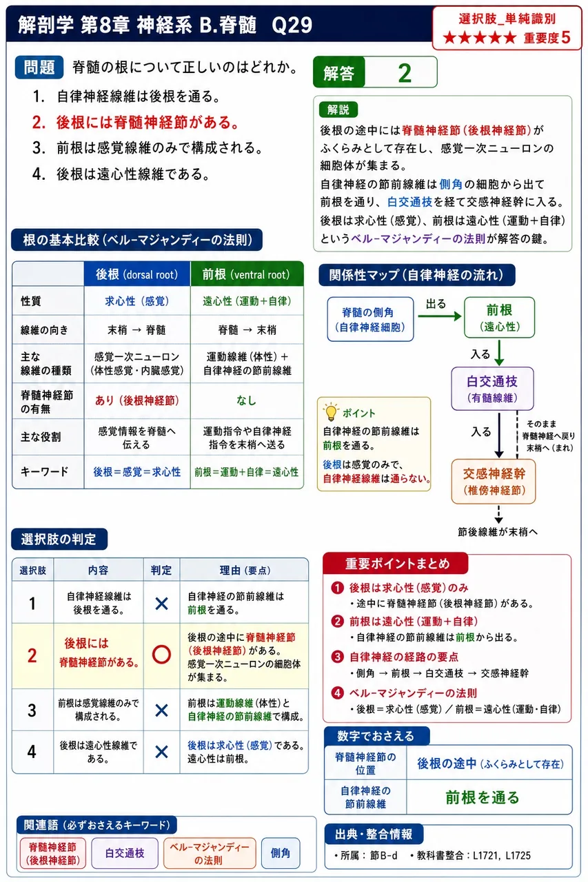 脊髄の根について正しいのはどれか。 解説図