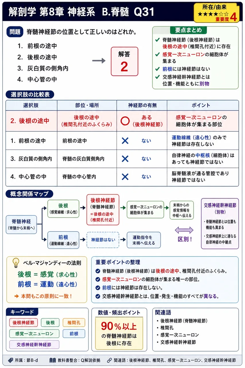 脊髄神経節の位置として正しいのはどれか。 解説図