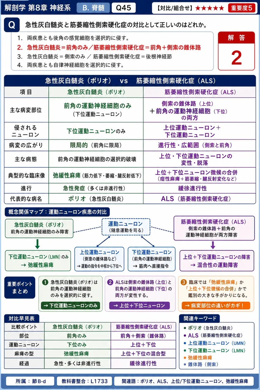 急性灰白髄炎と筋萎縮性側索硬化症の対比として正しいのはどれか。 解説図