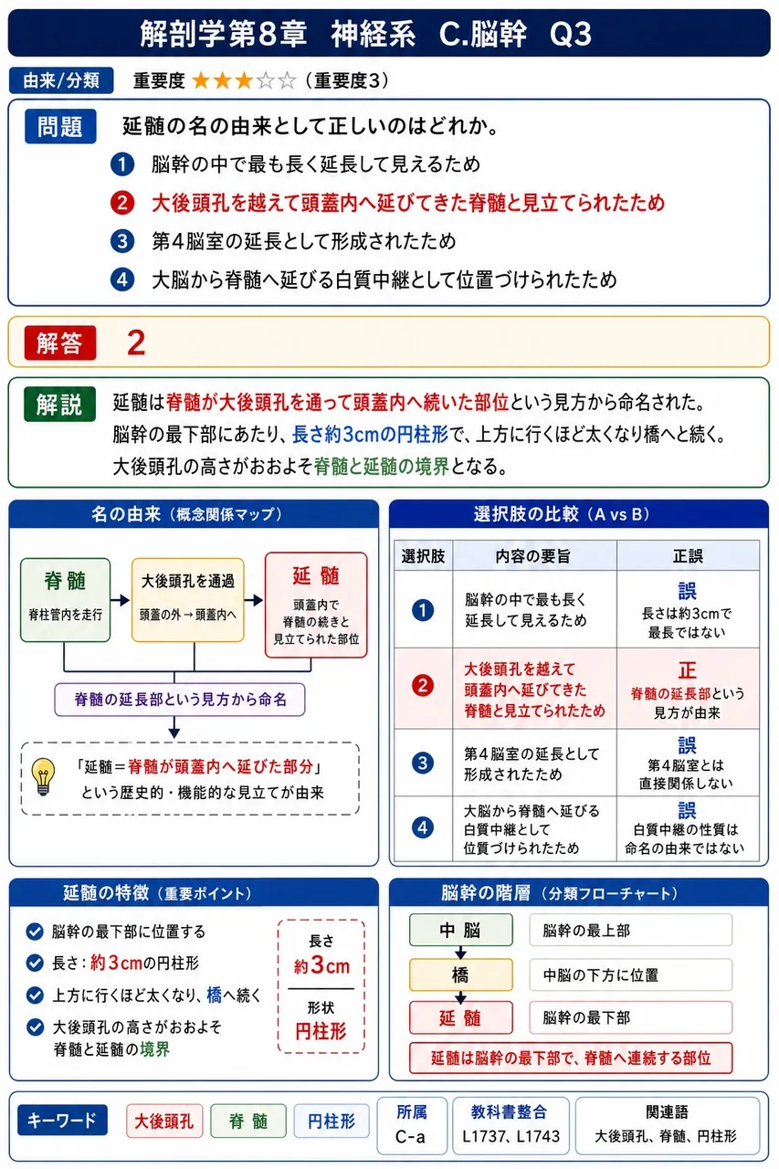 延髄の名の由来として正しいのはどれか。 解説図
