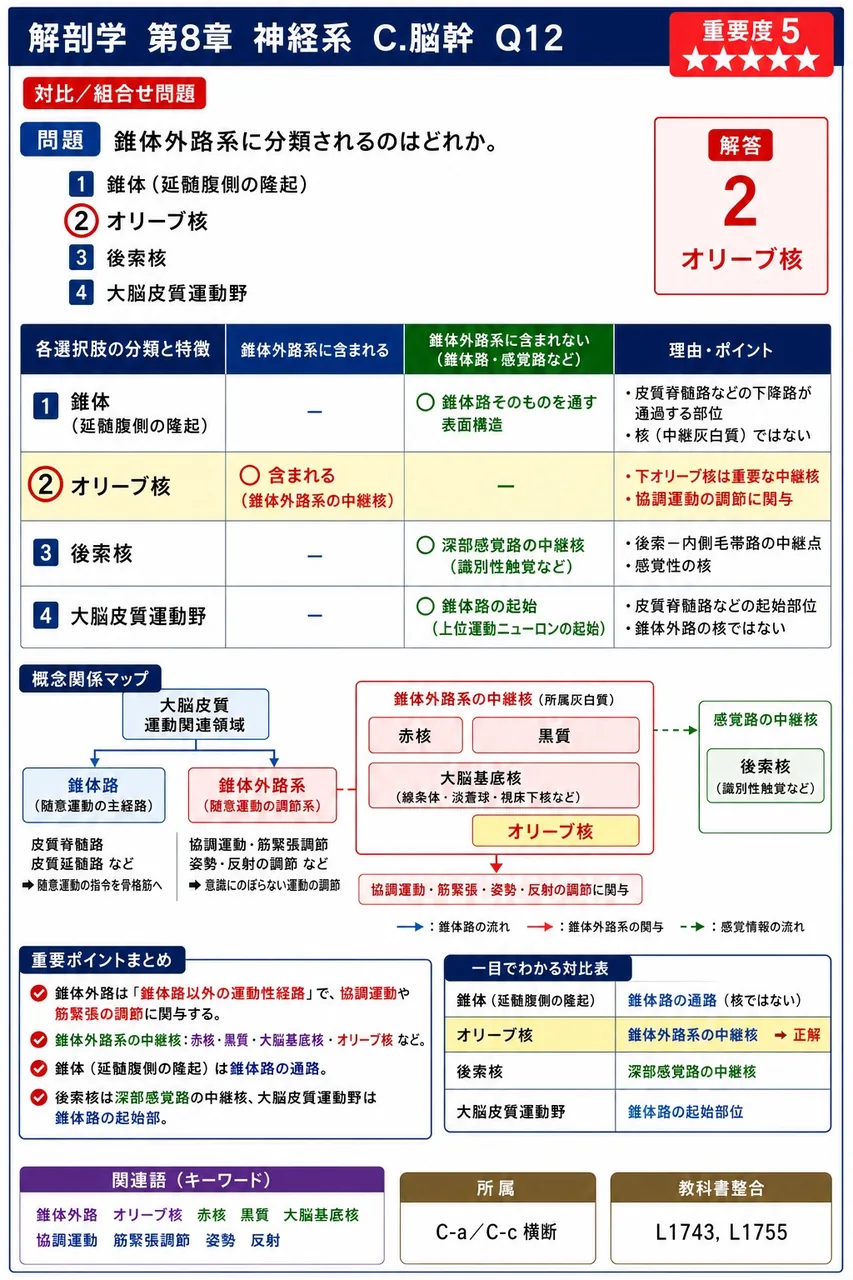 錐体外路系に分類されるのはどれか。 解説図