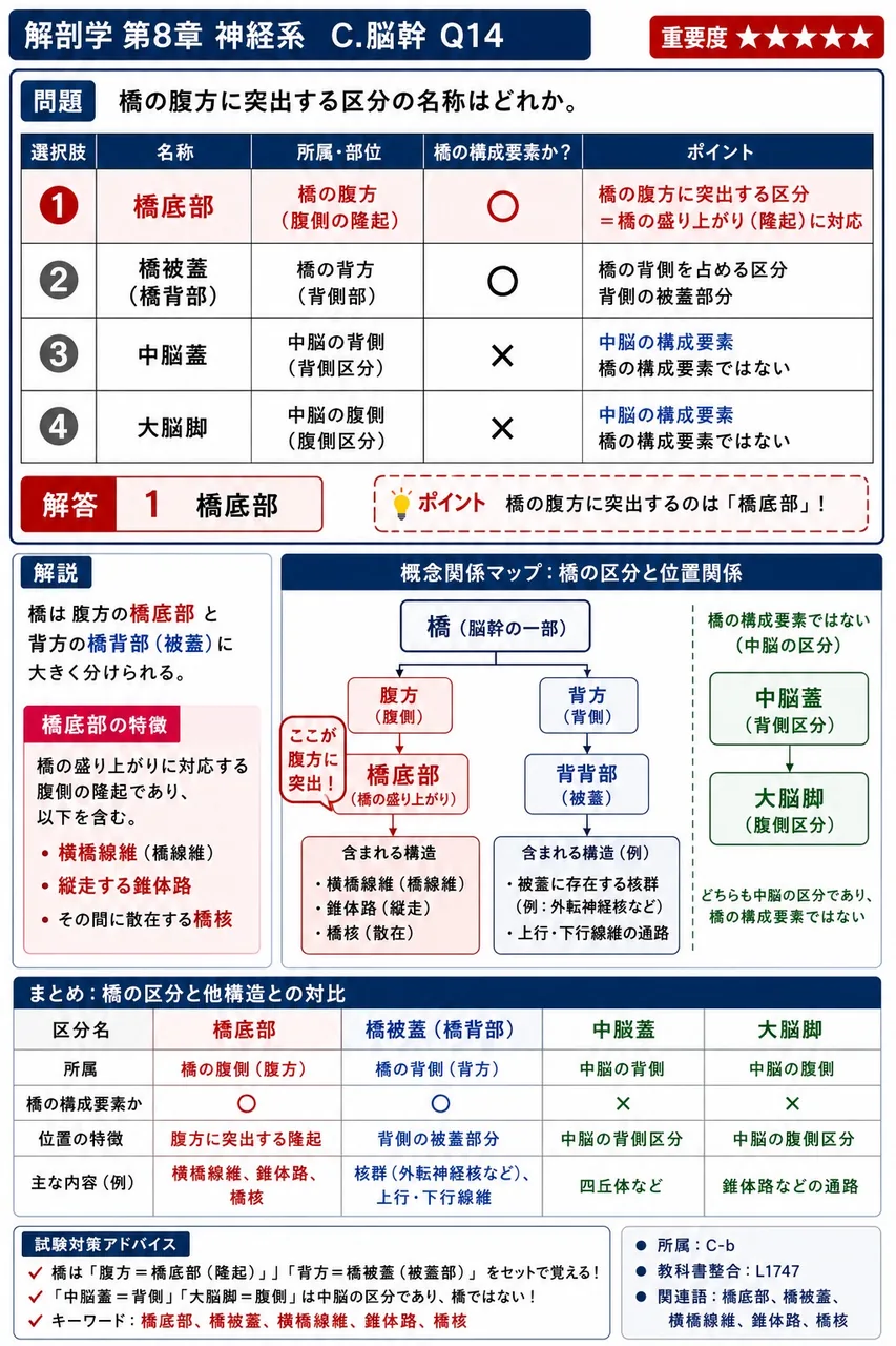 橋の腹方に突出する区分の名称はどれか。 解説図