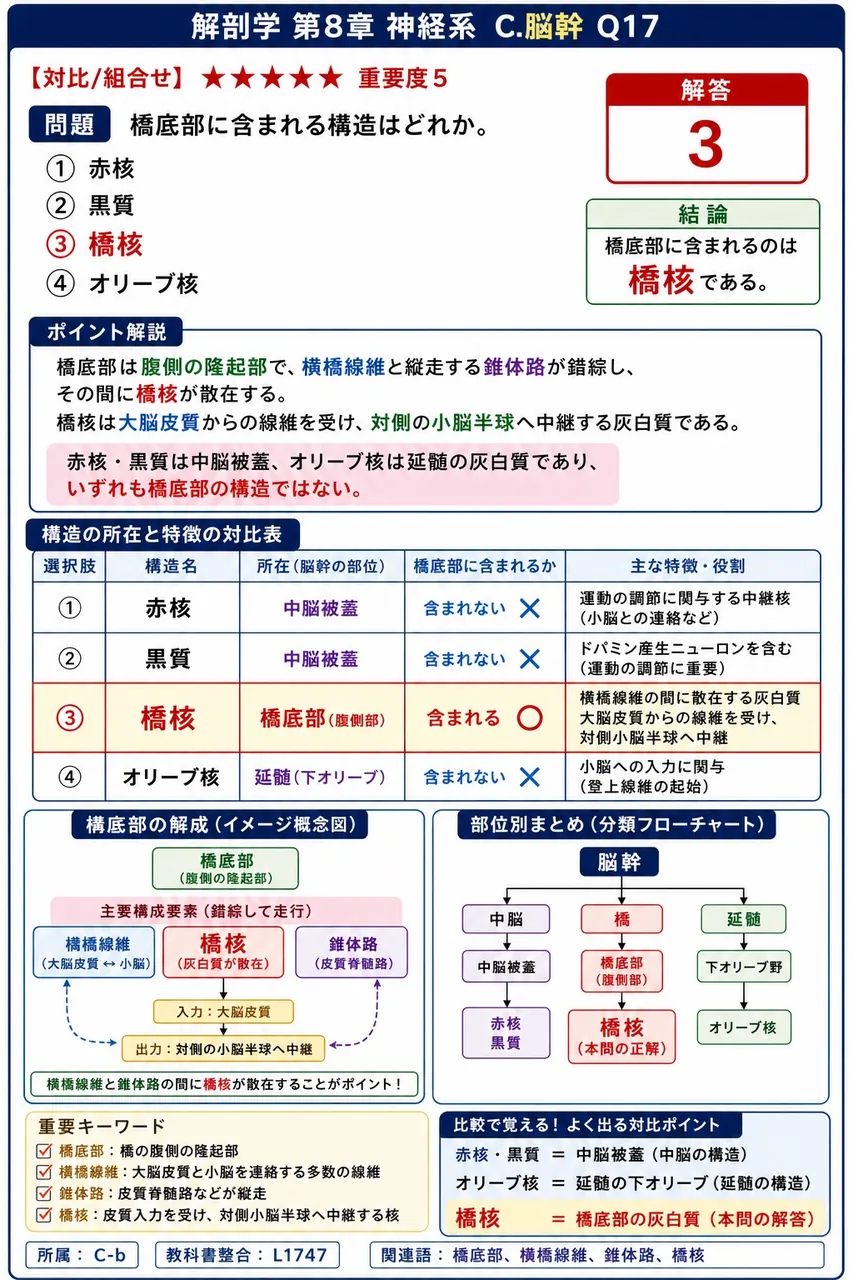 橋底部に含まれる構造はどれか。 解説図