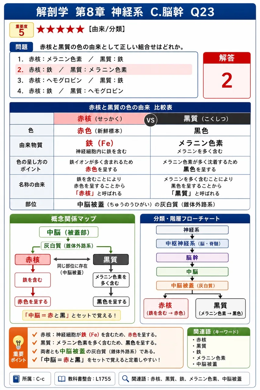 赤核と黒質の色の由来として正しい組合せはどれか。 解説図