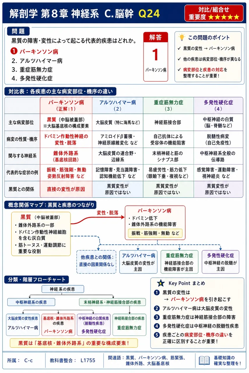 黒質の障害・変性によって起こる代表的疾患はどれか。 解説図
