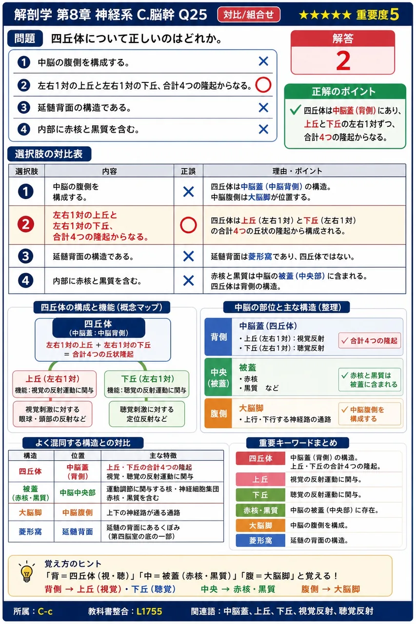 四丘体について正しいのはどれか。 解説図