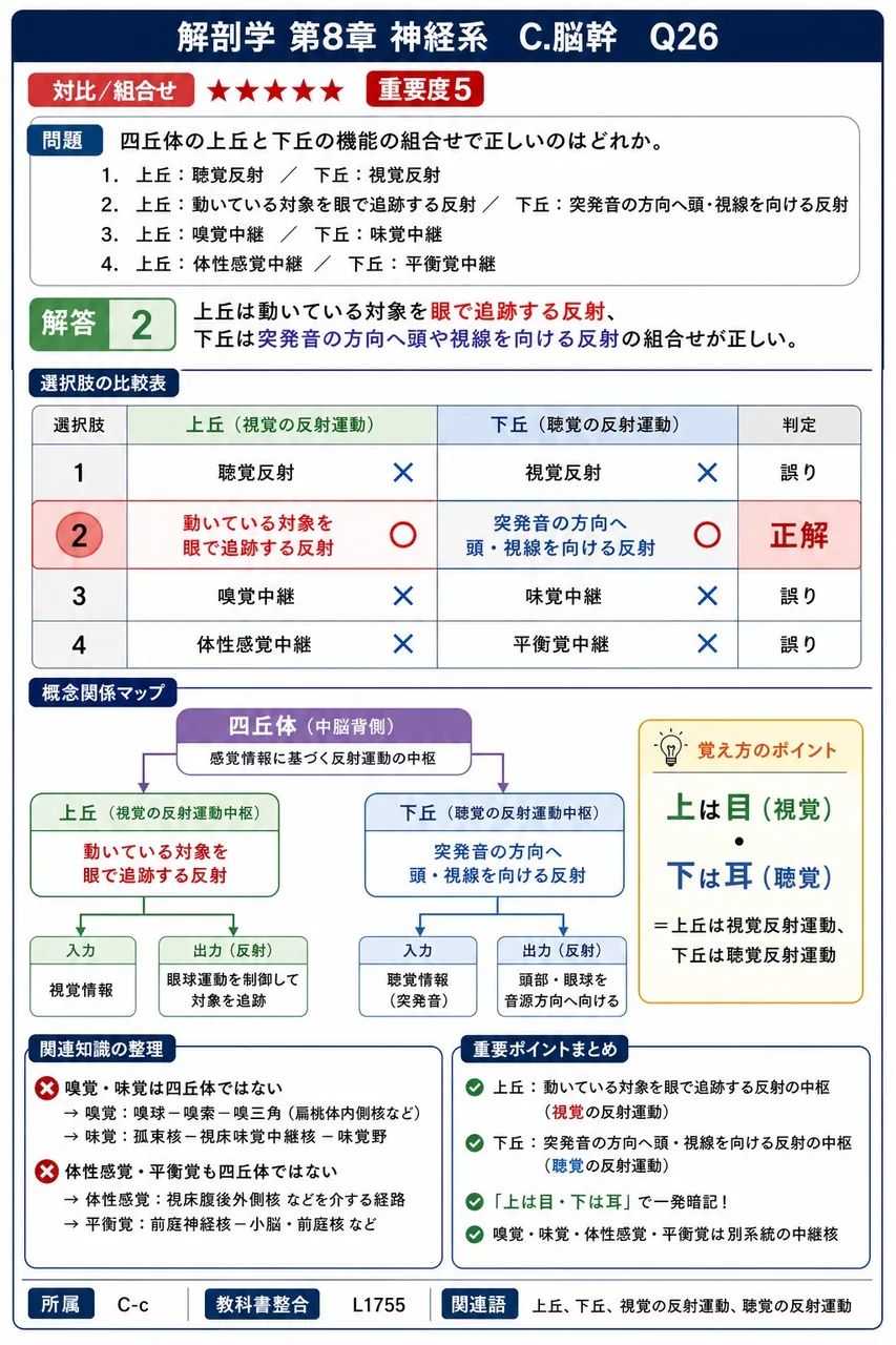 四丘体の上丘と下丘の機能の組合せで正しいのはどれか。 解説図