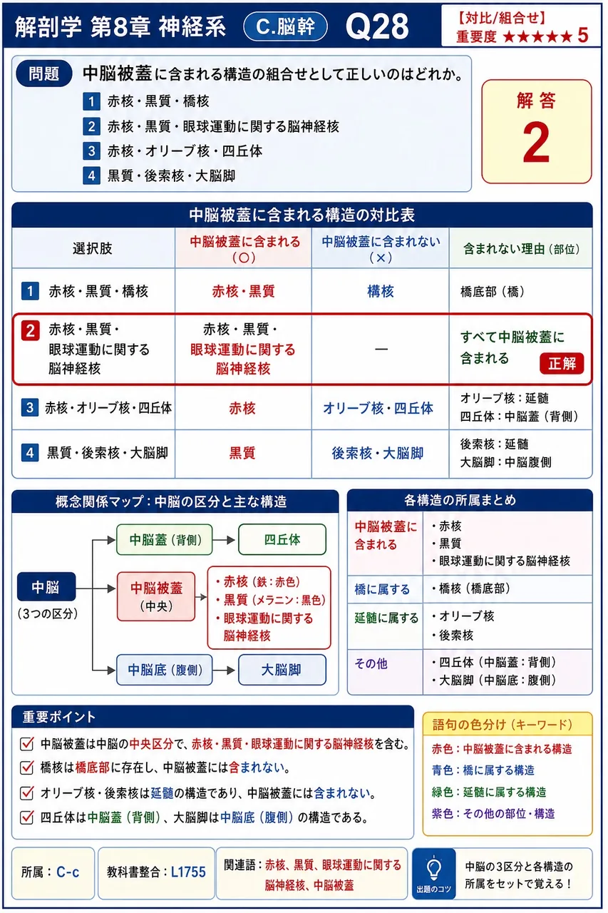 中脳被蓋に含まれる構造の組合せとして正しいのはどれか。 解説図