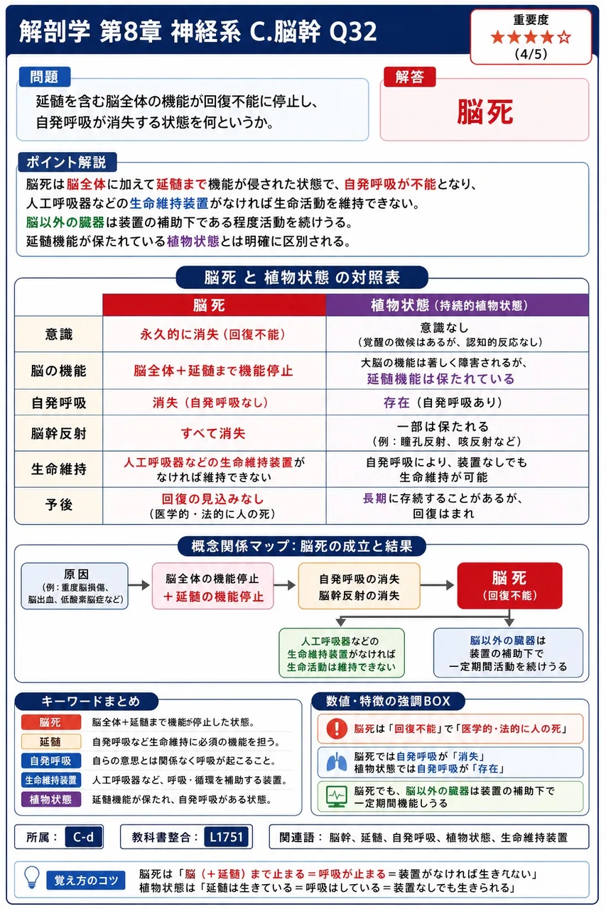 延髄を含む脳全体の機能が回復不能に停止し、自発呼吸が消失する状態を何というか。 解説図
