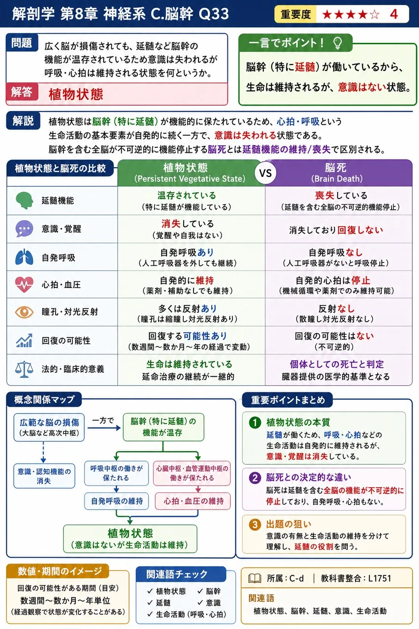 広く脳が損傷されても、延髄など脳幹の機能が温存されているため意識は失われるが呼吸・心拍は維持される状態を何というか。 解説図
