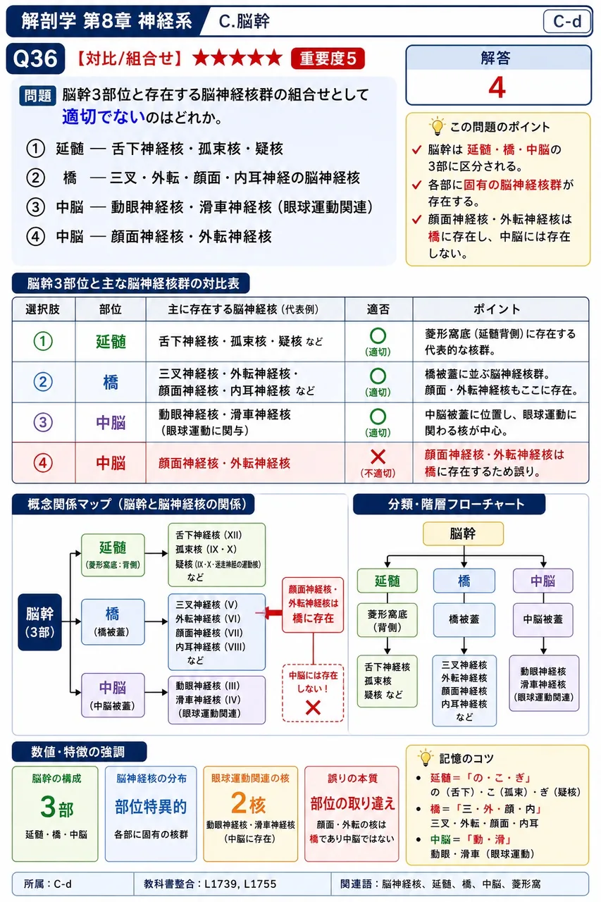 脳幹3部位と存在する脳神経核群の組合せとして適切でないのはどれか。 解説図