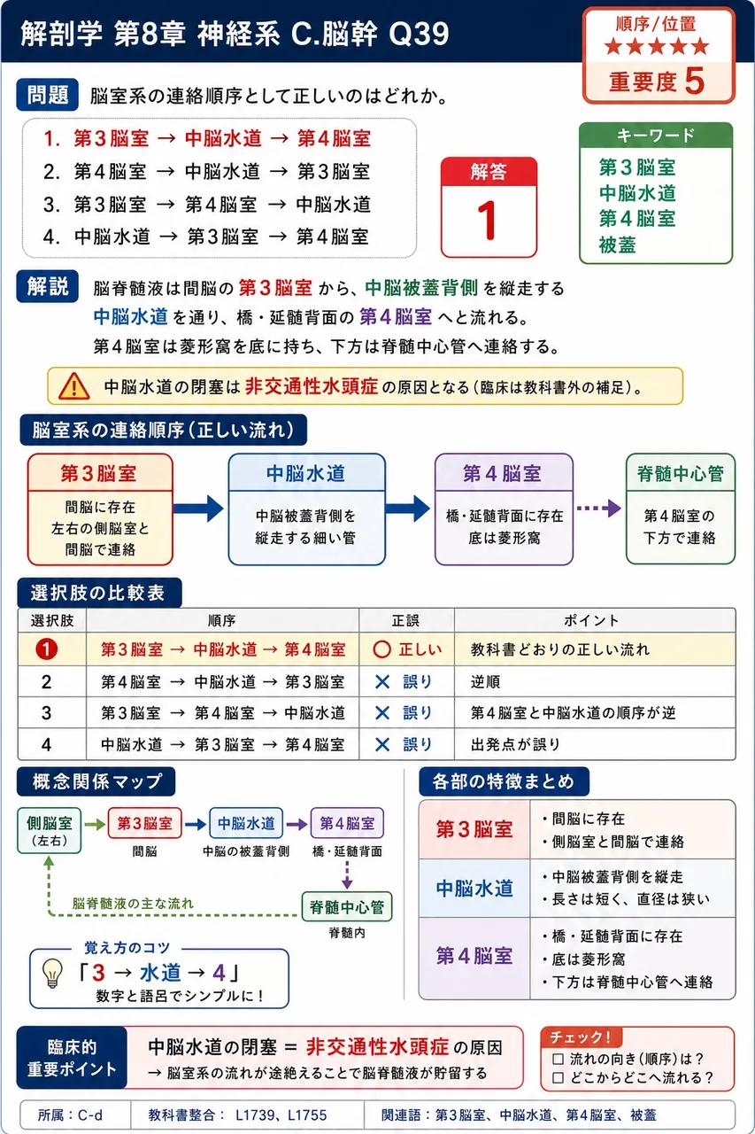脳室系の連絡順序として正しいのはどれか。 解説図