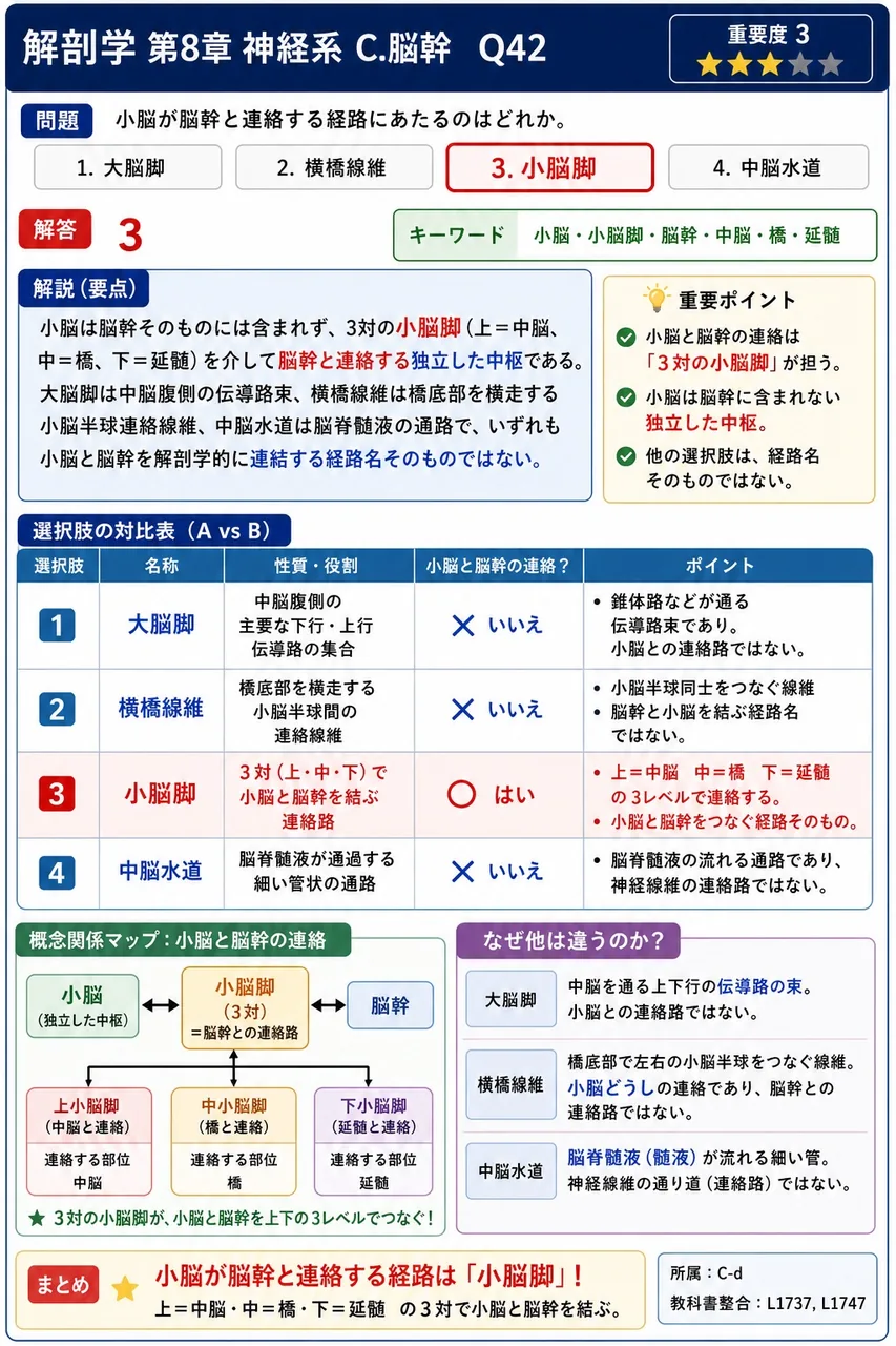 小脳が脳幹と連絡する経路にあたるのはどれか。 解説図