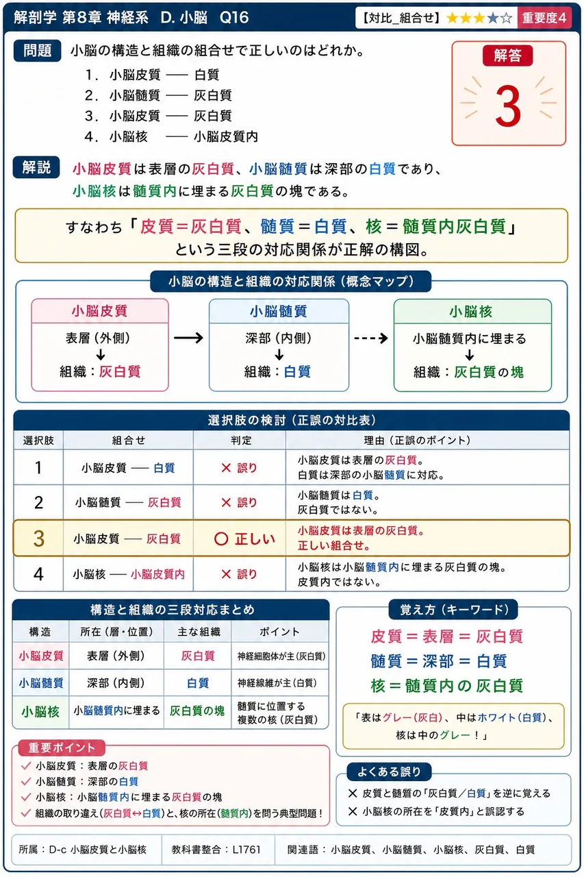 小脳の構造と組織の組合せで正しいのはどれか。 解説図