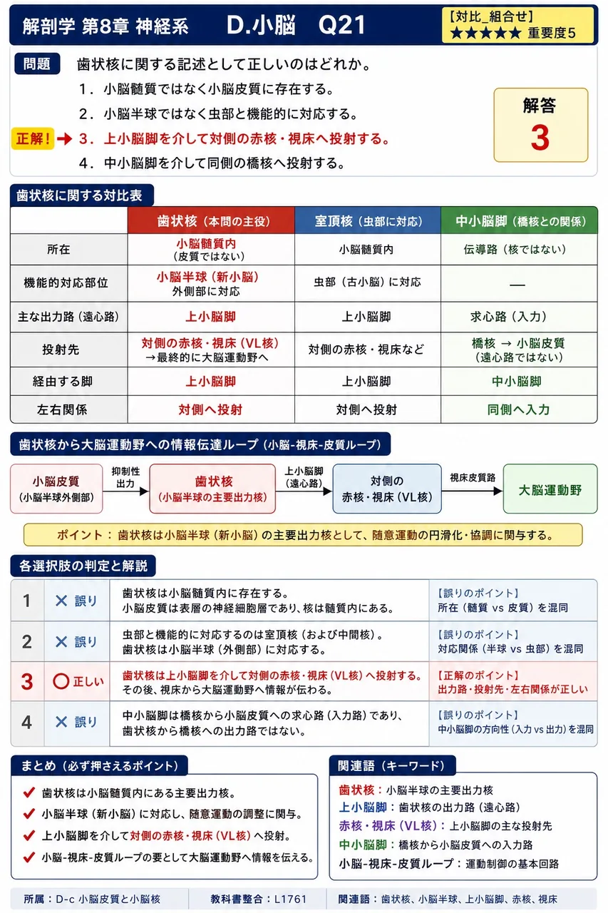 歯状核に関する記述として正しいのはどれか。 解説図