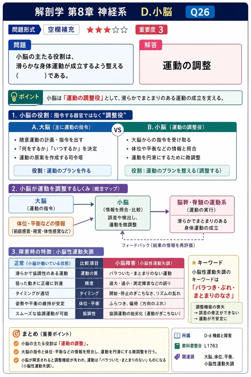 小脳の主たる役割は、滑らかな身体運動が成立するよう整える( )である。 解説図