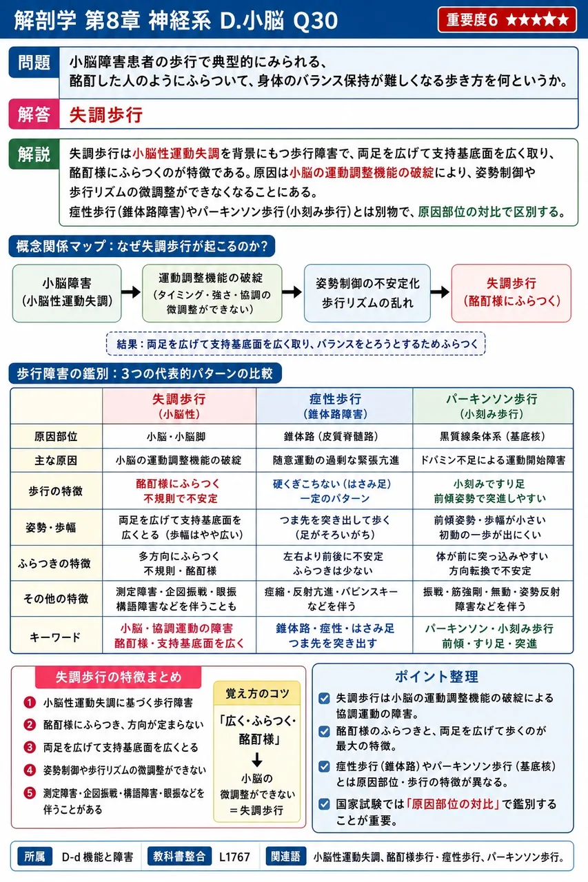 小脳障害患者の歩行で典型的にみられる、酩酊した人のようにふらついて、身体のバランス保持が難しくなる歩き方を何というか。 解説図