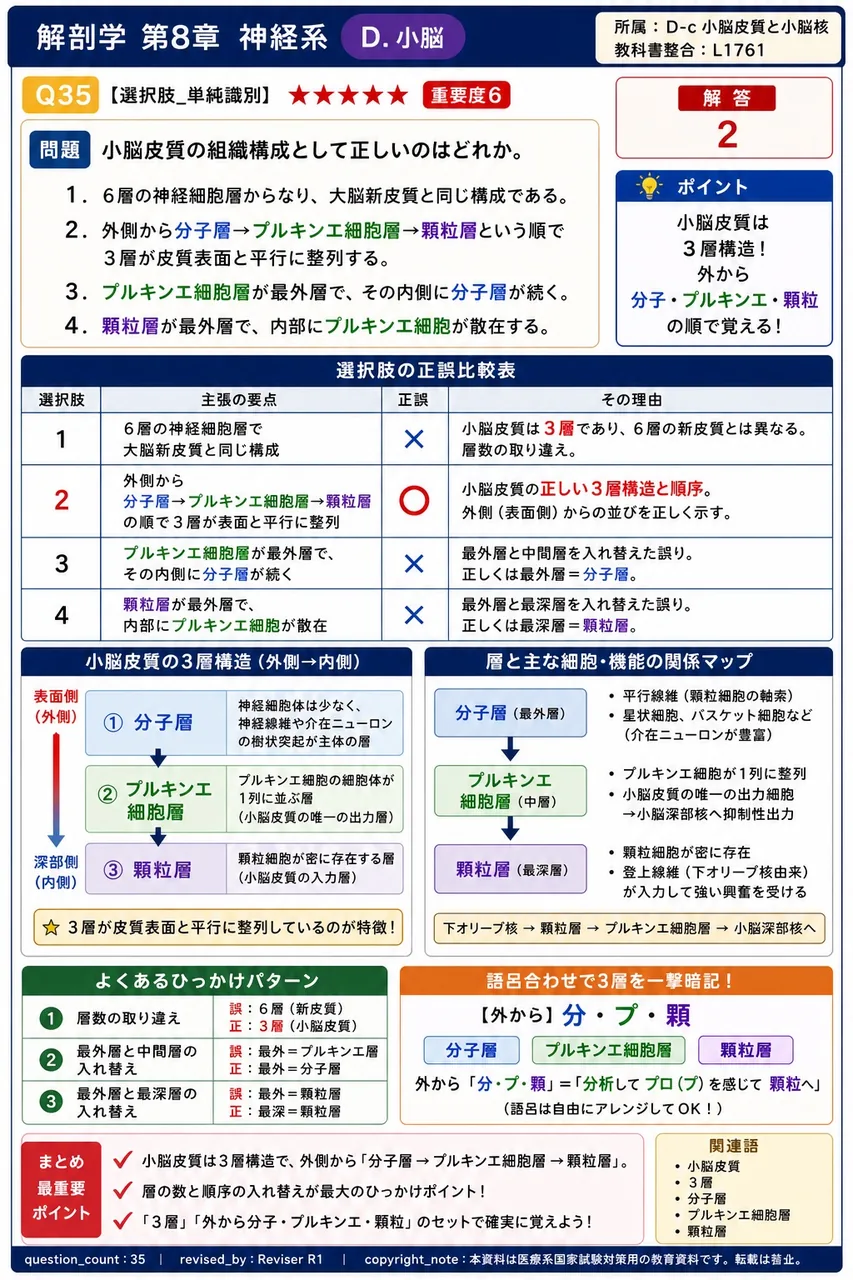小脳皮質の組織構成として正しいのはどれか。 解説図