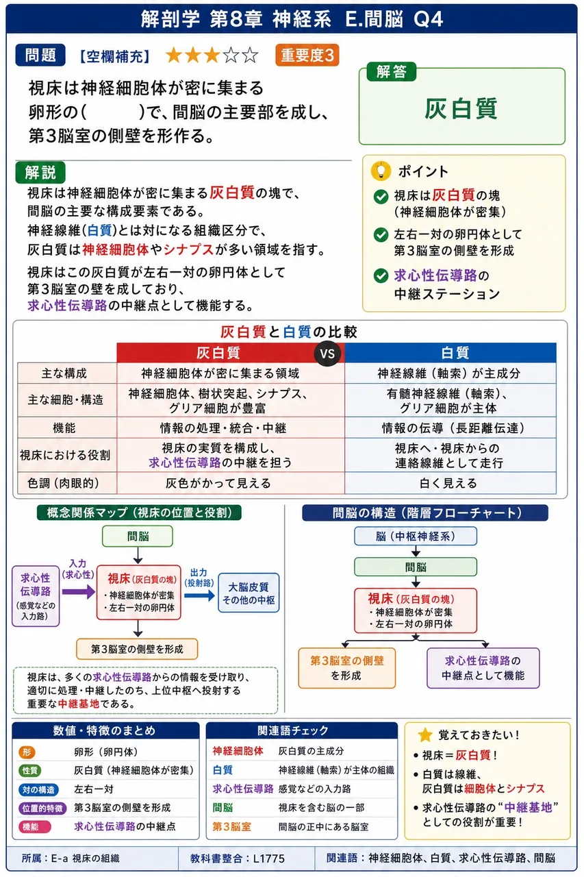 視床は神経細胞体が密に集まる卵形の( )で、間脳の主要部を成し、第3脳室の側壁を形作る。 解説図