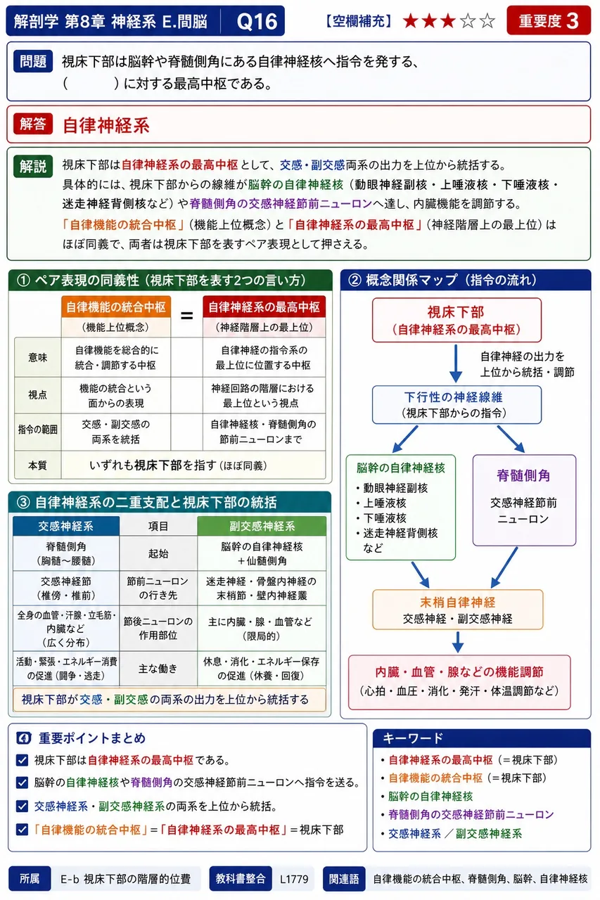 視床下部は脳幹や脊髄側角にある自律神経核へ指令を発する、( )に対する最高中枢である。 解説図
