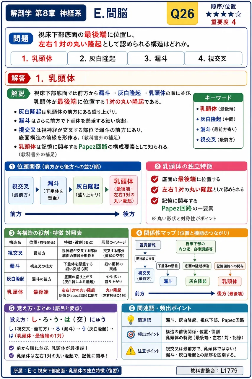 視床下部底面の最後端に位置し、左右1対の丸い隆起として認められる構造はどれか。 解説図
