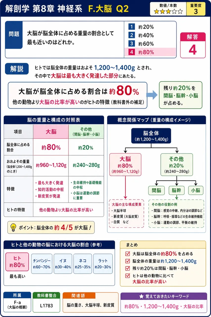大脳が脳全体に占める重量の割合として最も近いのはどれか。 解説図