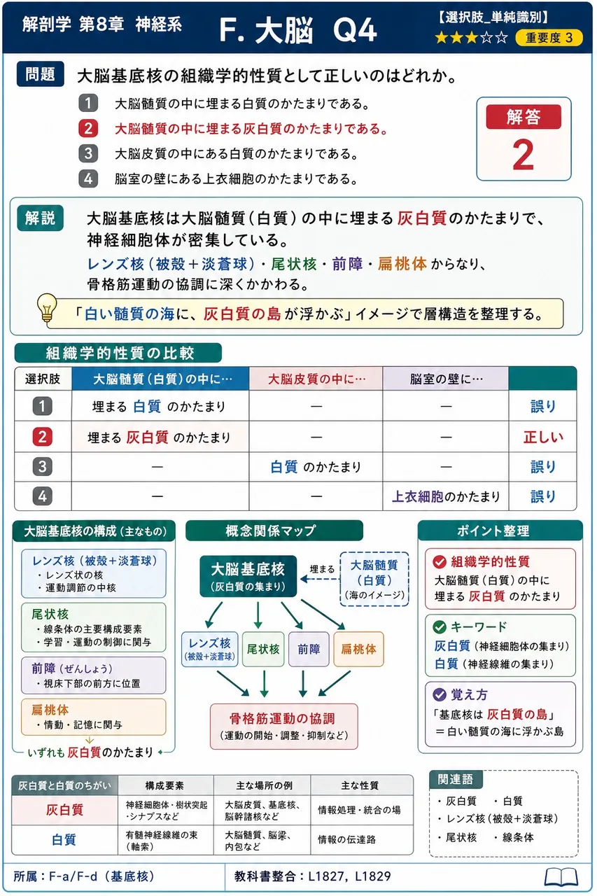 大脳基底核の組織学的性質として正しいのはどれか。 解説図
