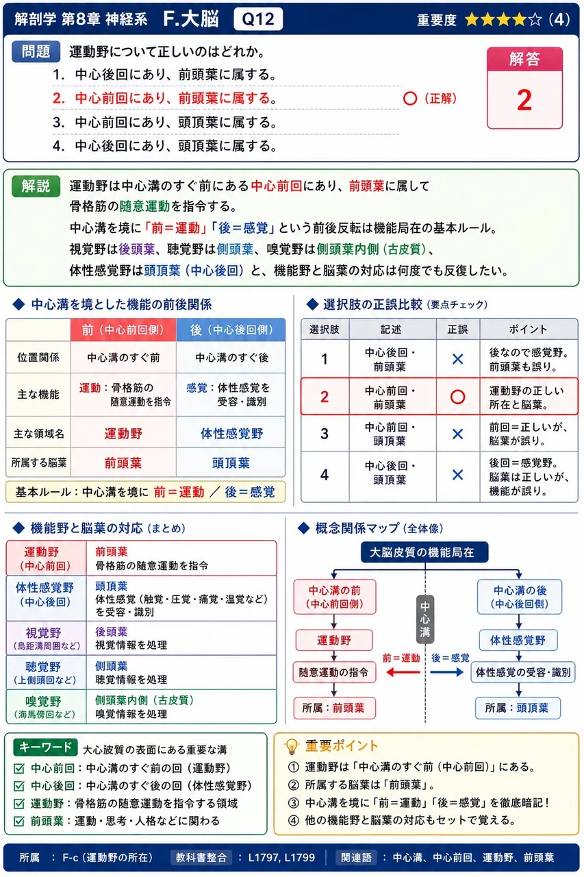 運動野について正しいのはどれか。 解説図