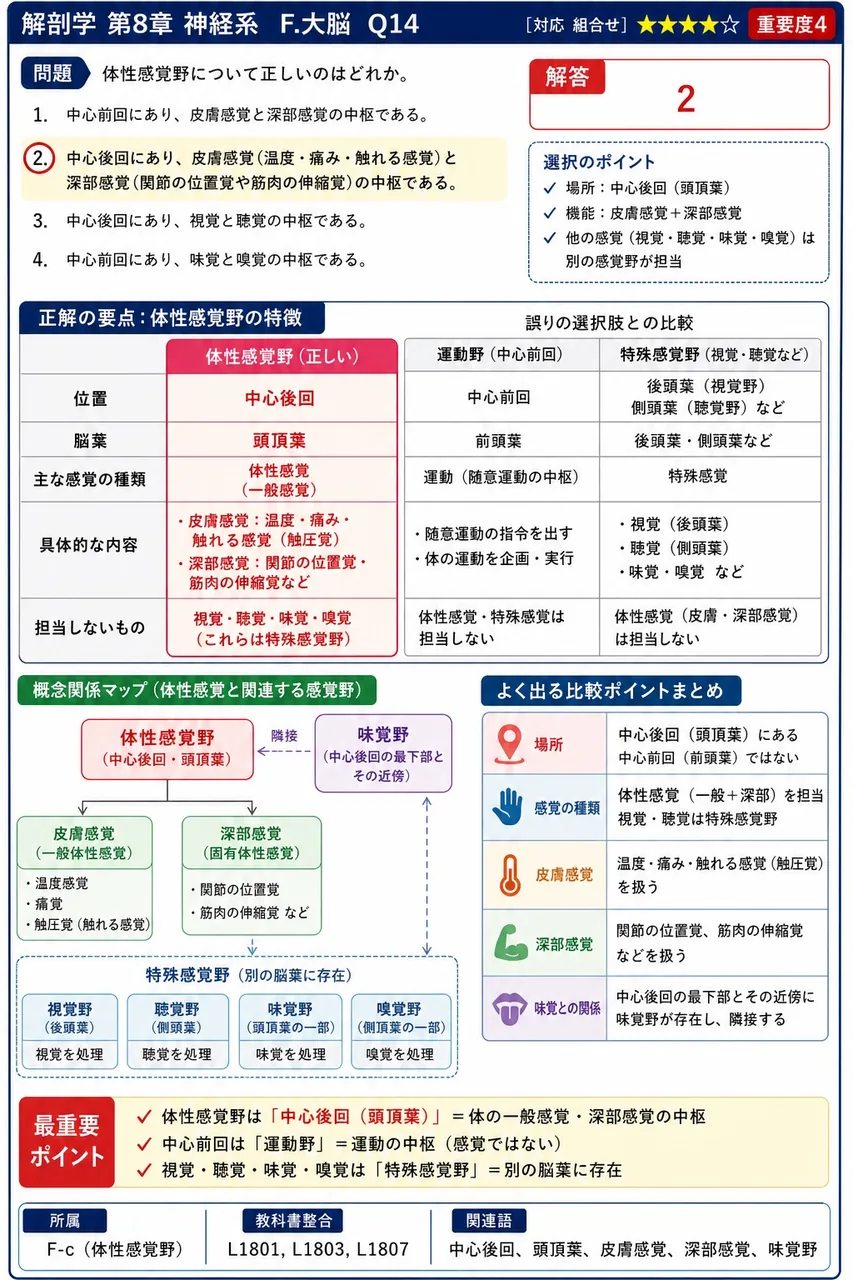 体性感覚野について正しいのはどれか。 解説図