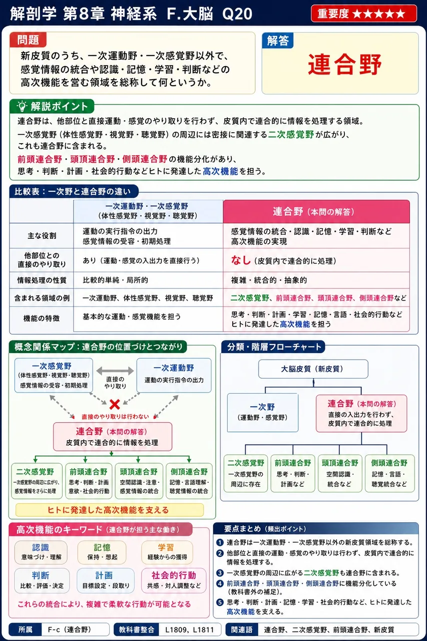 新皮質のうち、一次運動野・一次感覚野以外で、感覚情報の統合や認識・記憶・学習・判断などの高次機能を営む領域を総称して何というか。 解説図