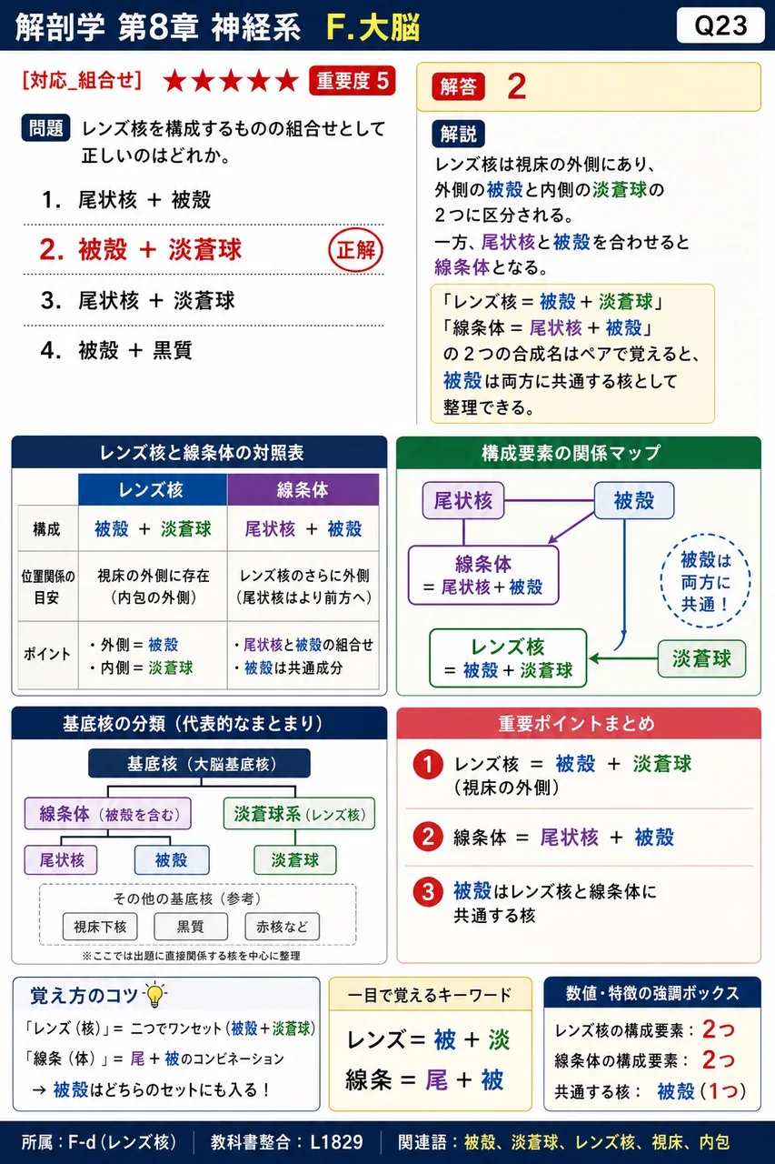 レンズ核を構成するものの組合せとして正しいのはどれか。 解説図