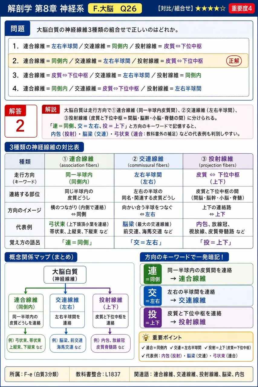 大脳白質の神経線維3種類の組合せで正しいのはどれか。 解説図