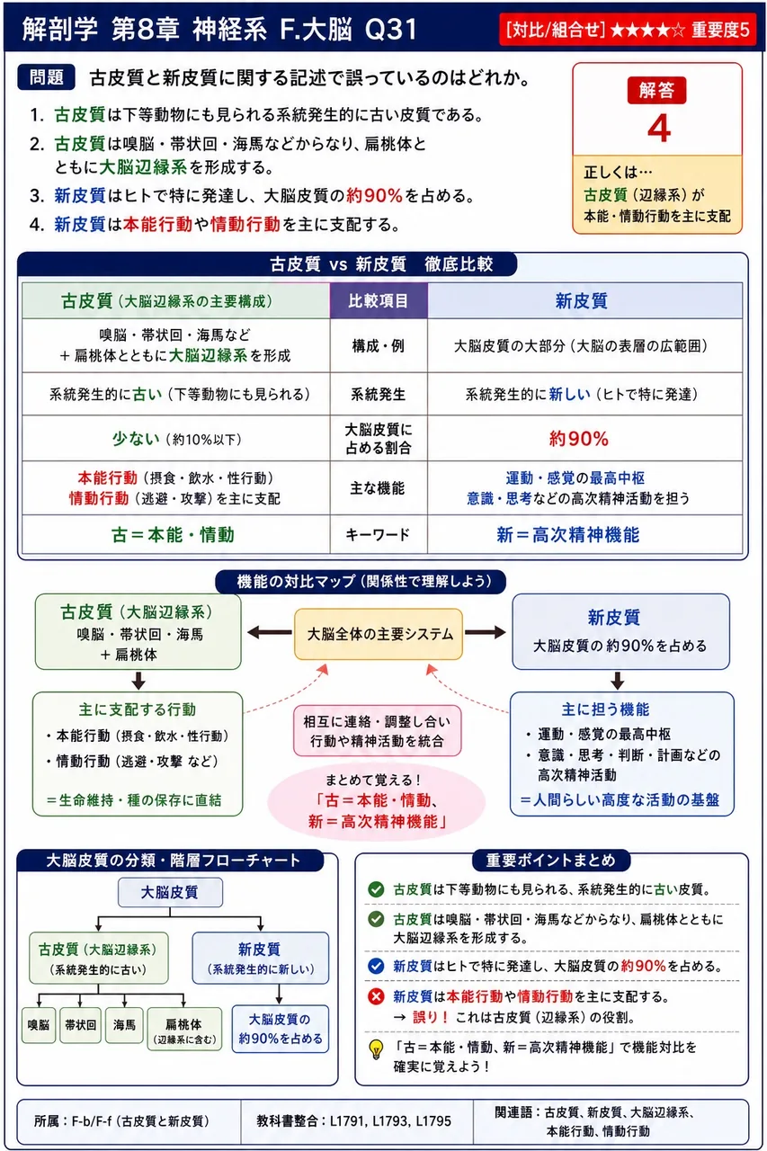 古皮質と新皮質に関する記述で誤っているのはどれか。 解説図