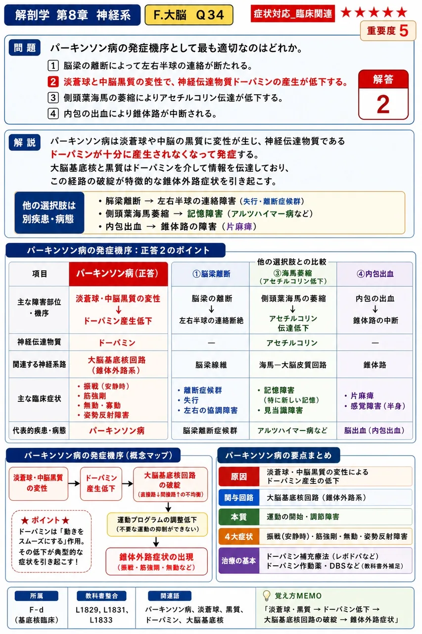 パーキンソン病の発症機序として最も適切なのはどれか。 解説図