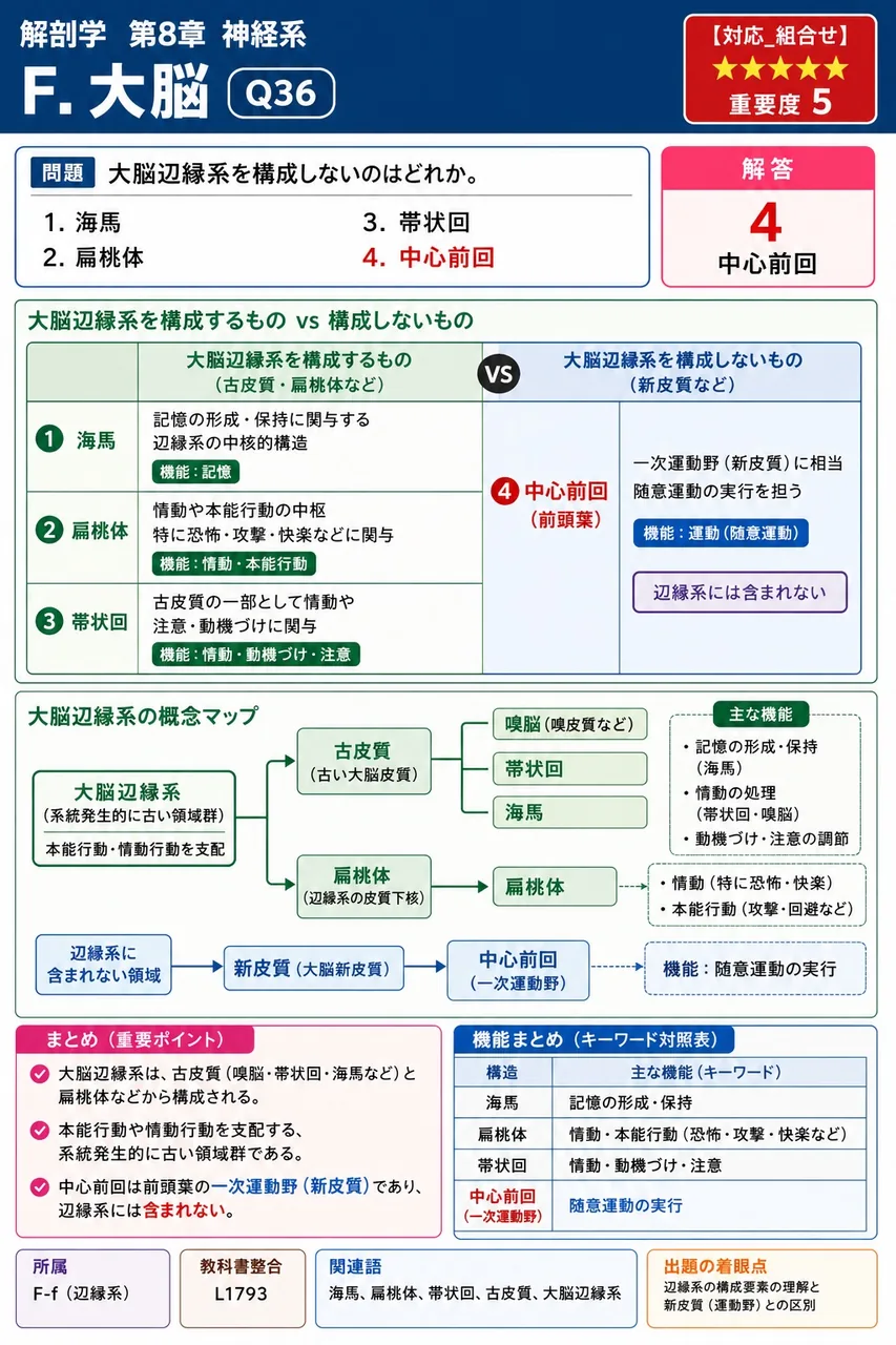 大脳辺縁系を構成しないのはどれか。 解説図
