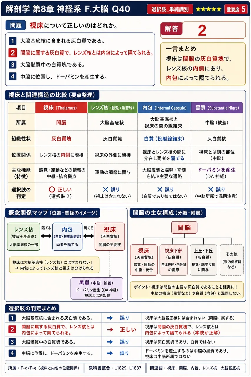 視床について正しいのはどれか。 解説図