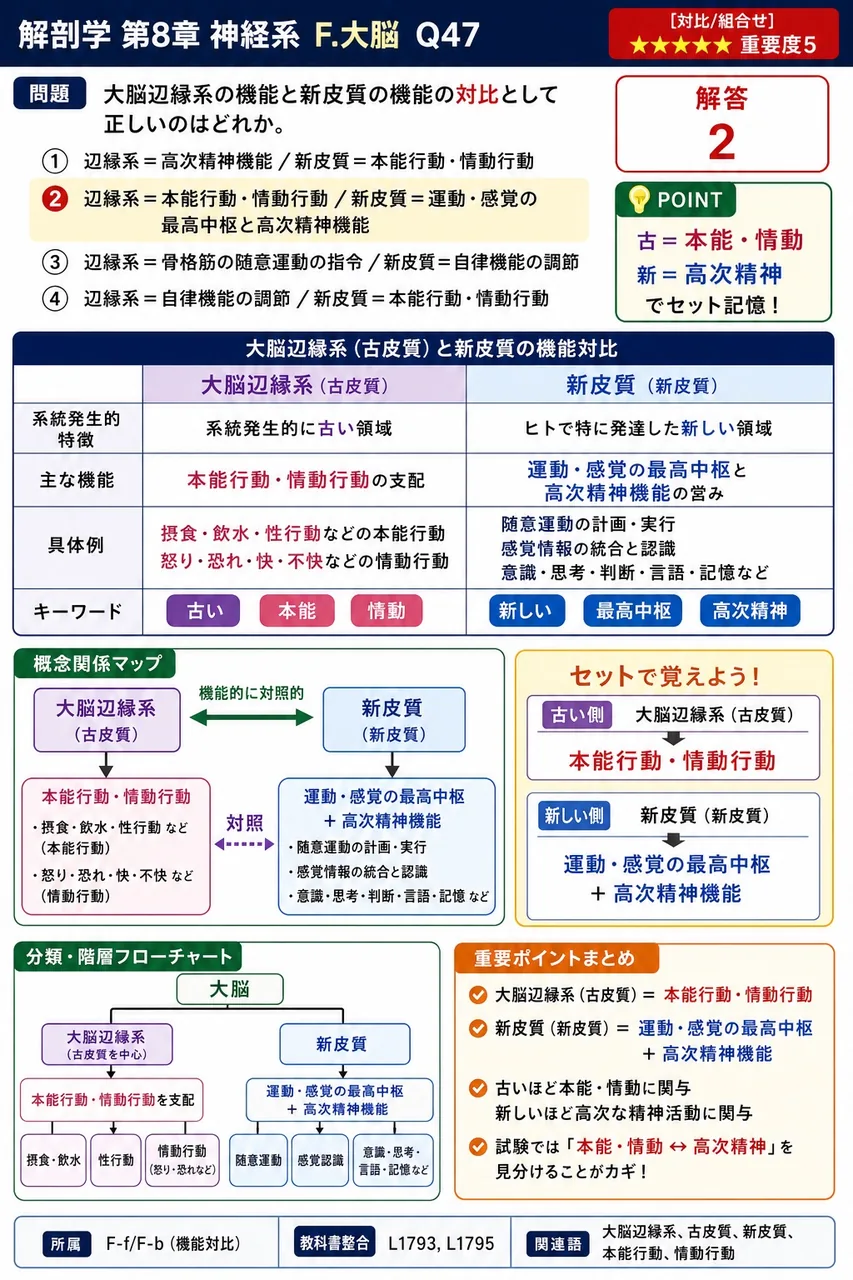 大脳辺縁系の機能と新皮質の機能の対比として正しいのはどれか。 解説図