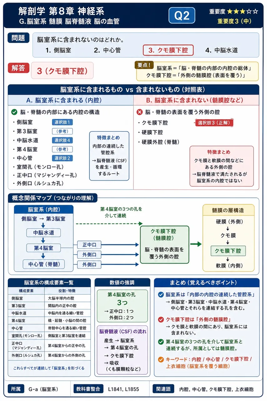 脳室系に含まれないのはどれか。 解説図