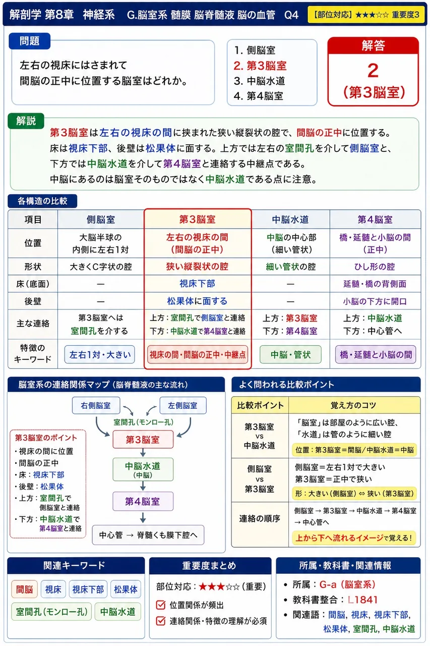 左右の視床にはさまれて間脳の正中に位置する脳室はどれか。 解説図
