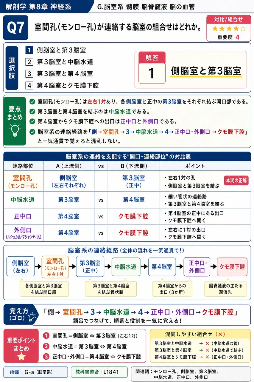 室間孔(モンロー孔)が連絡する脳室の組合せはどれか。 解説図