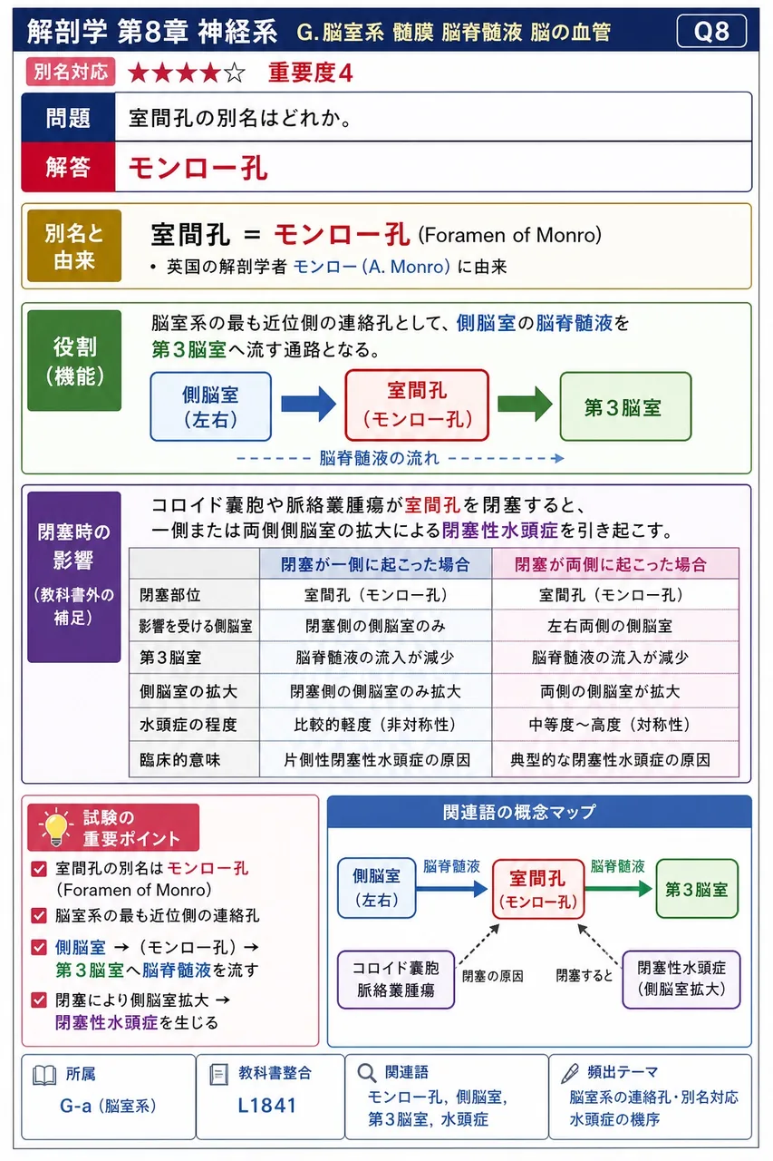 室間孔の別名はどれか。 解説図
