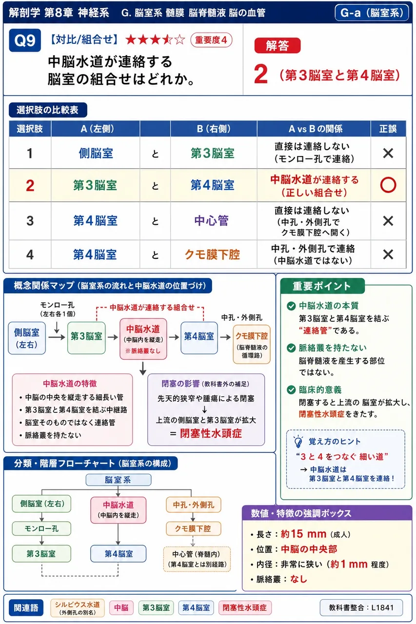 中脳水道が連絡する脳室の組合せはどれか。 解説図