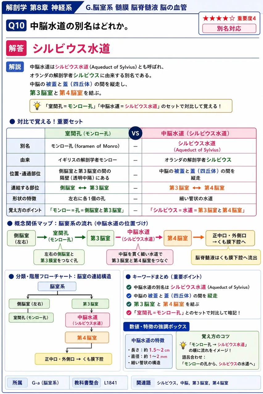 中脳水道の別名はどれか。 解説図