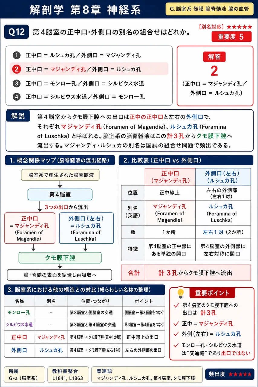 第4脳室の正中口・外側口の別名の組合せはどれか。 解説図