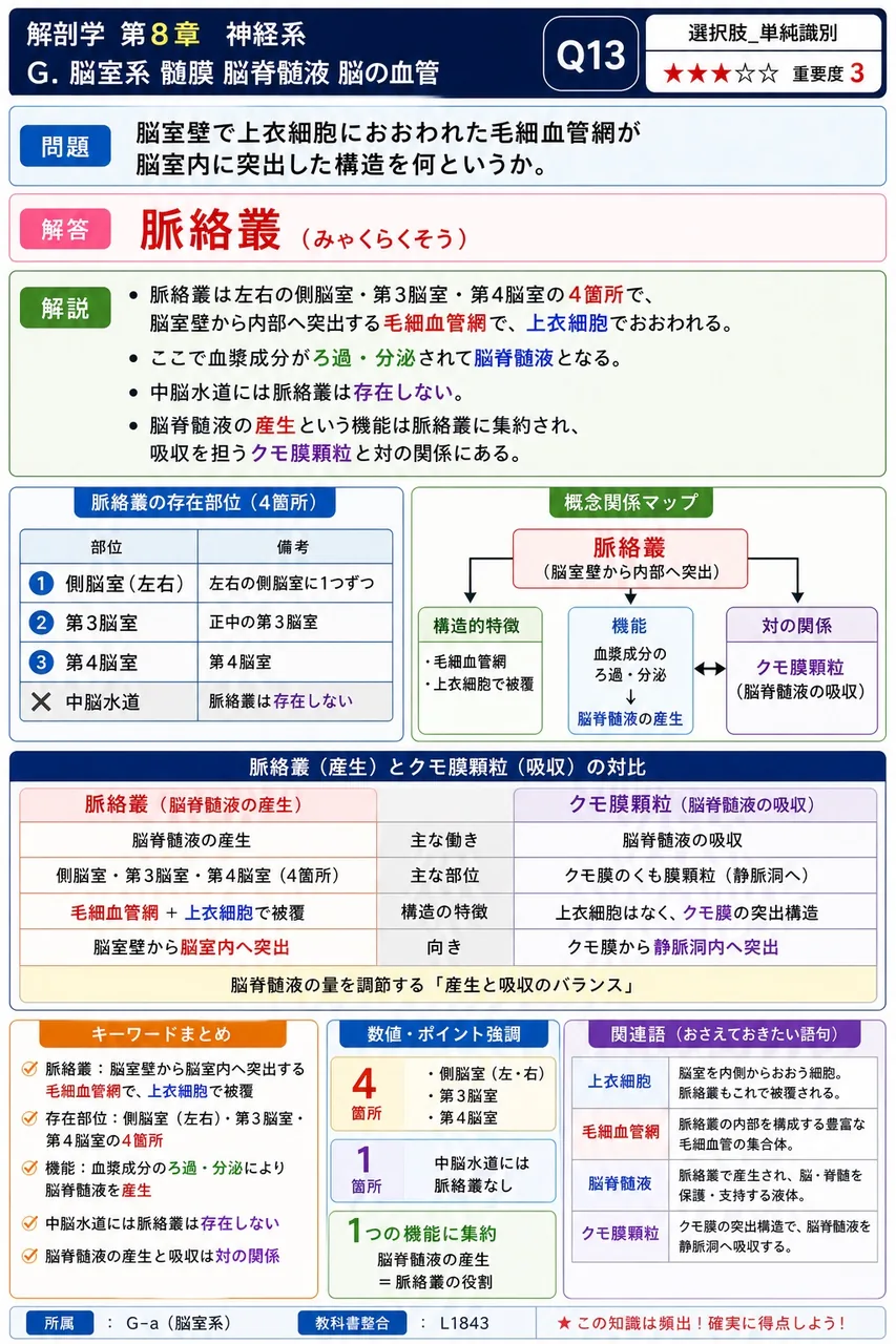 脳室壁で上衣細胞におおわれた毛細血管網が脳室内に突出した構造を何というか。 解説図